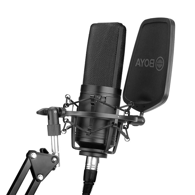 Large Diaphragm Condenser Microphone