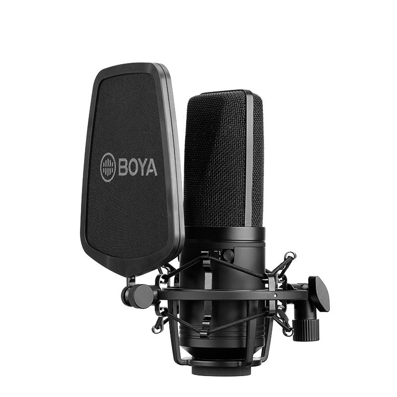 Large Diaphragm Condenser Microphone