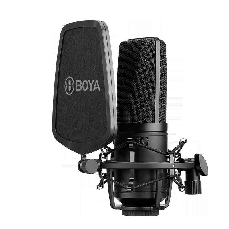 Large Diaphragm Condenser Microphone