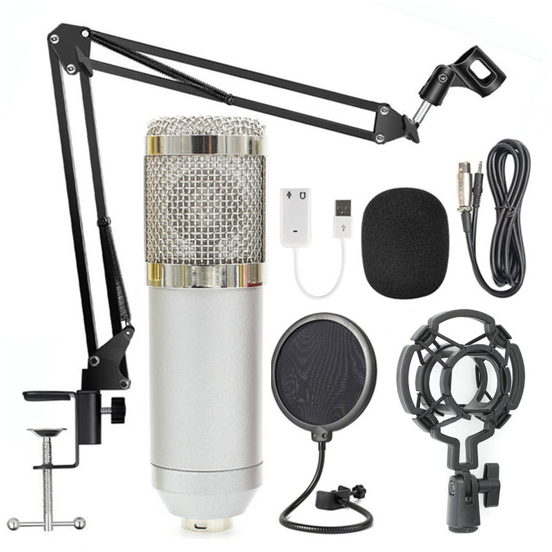 Professional Microphone Stand Set
