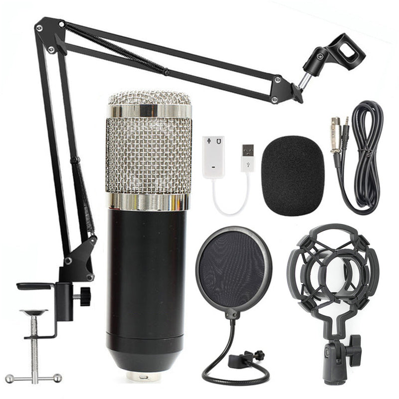 Professional Microphone Stand Set