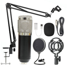 Professional Microphone Stand Set
