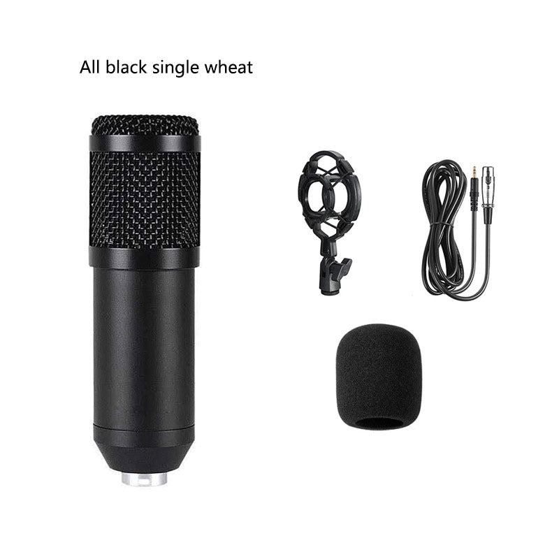 BM800 Condenser Microphone Set