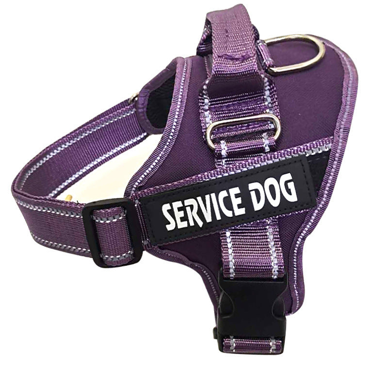 Heavy-Duty Outdoor Walking Dog Leash