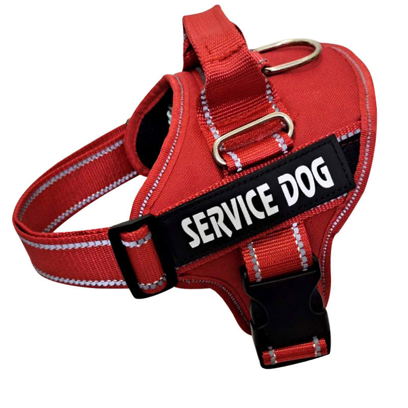 Heavy-Duty Outdoor Walking Dog Leash