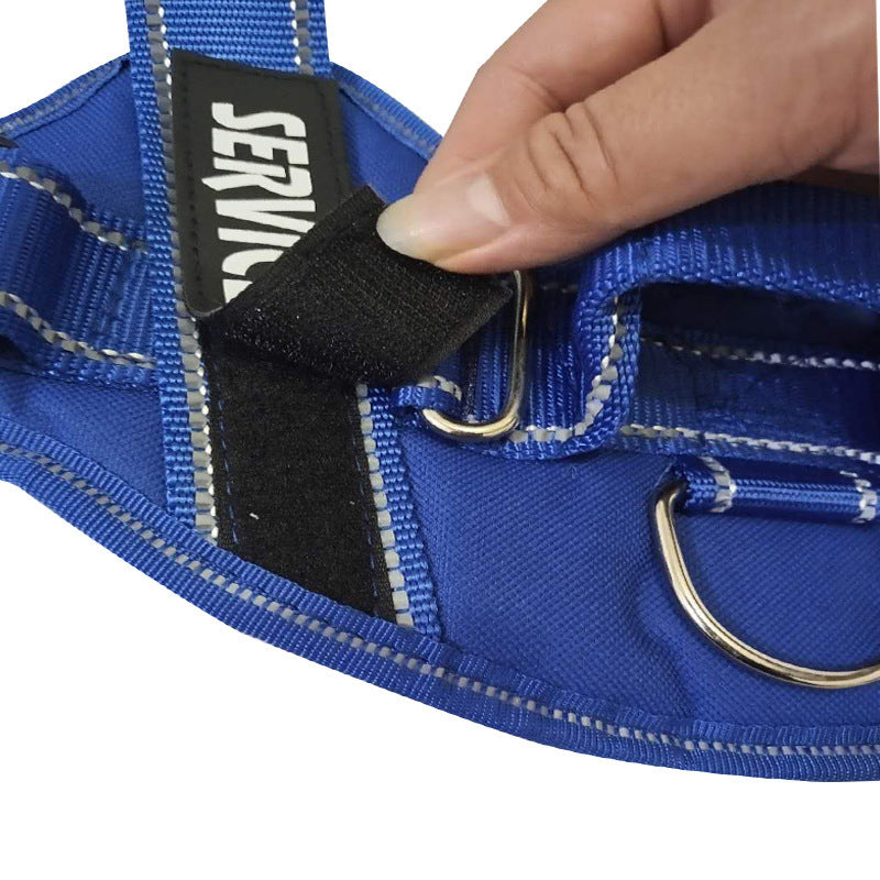 Heavy-Duty Outdoor Walking Dog Leash
