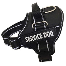 Heavy-Duty Outdoor Walking Dog Leash