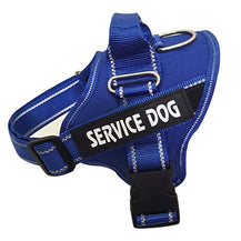 Heavy-Duty Outdoor Walking Dog Leash