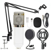 Professional Microphone Stand Set