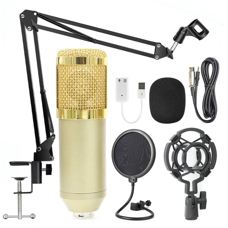 Professional Microphone Stand Set