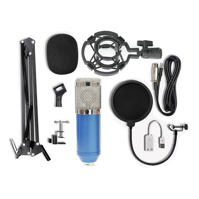 Professional Microphone Stand Set