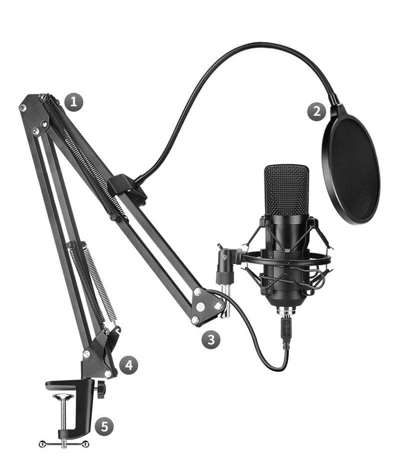 BM-700 Condenser Microphone for Studio Recording