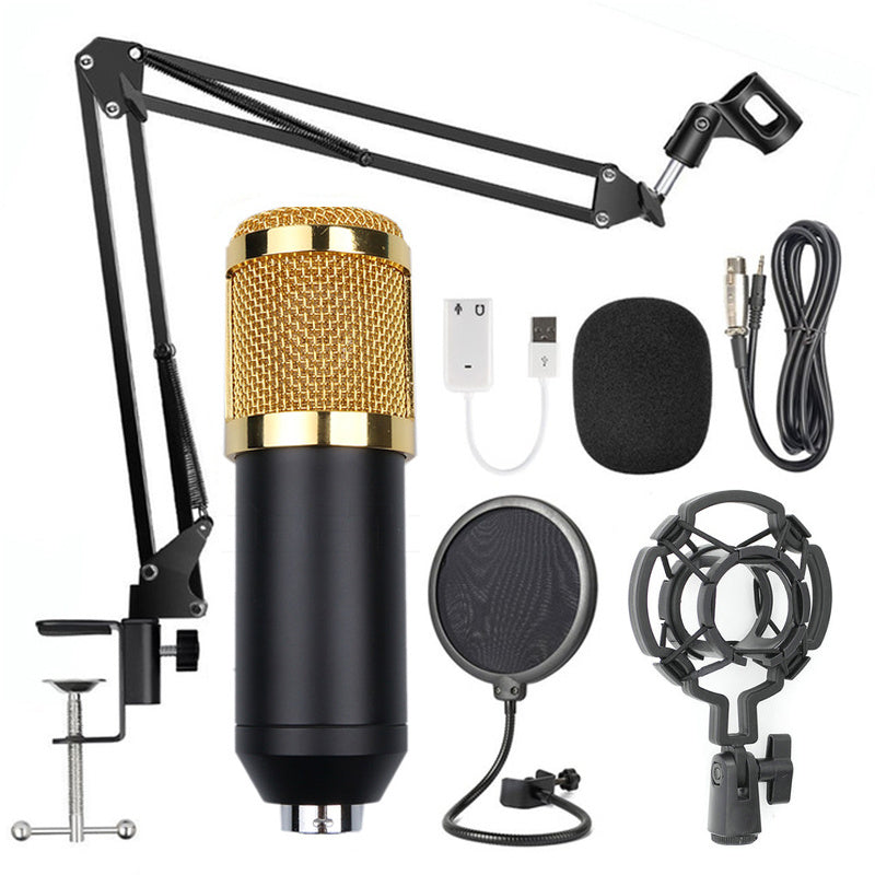 Professional Microphone Stand Set