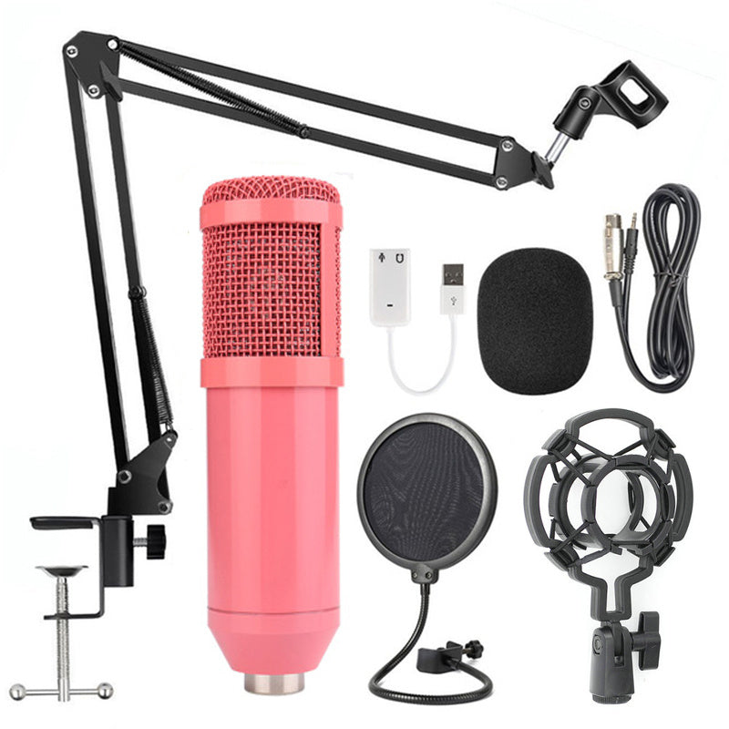 Professional Microphone Stand Set