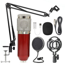 Professional Microphone Stand Set