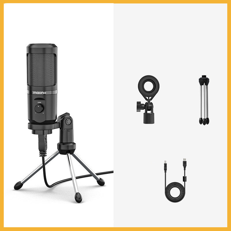 Noise Cancelling Desktop Microphone for Dubbing