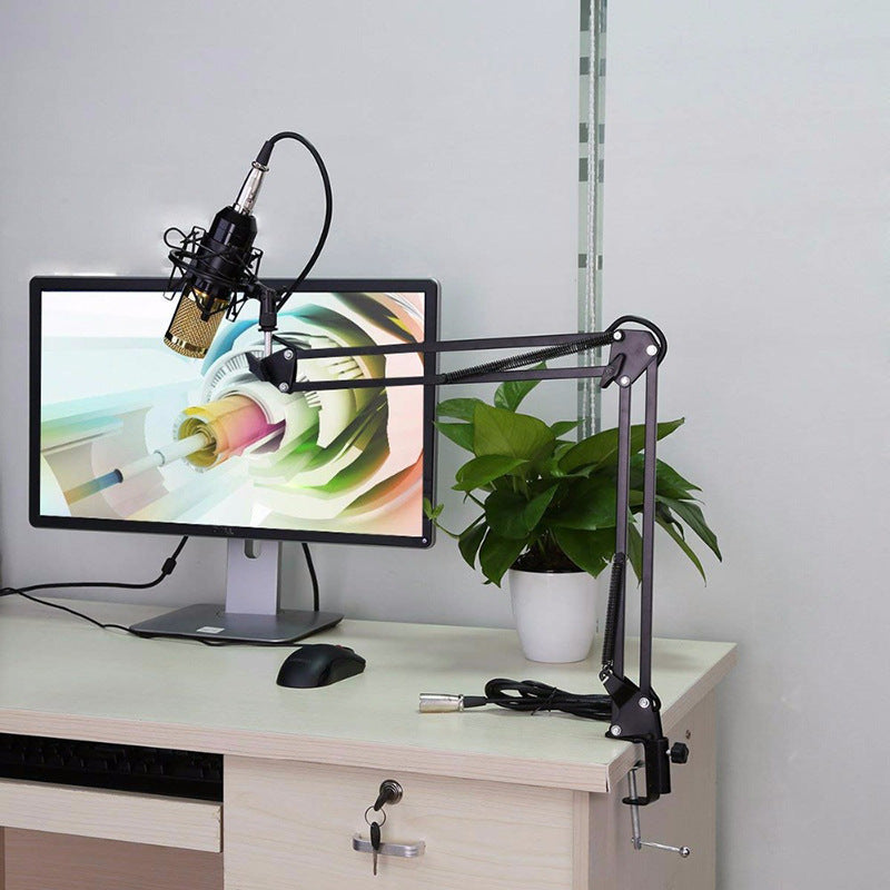 Professional Microphone Stand Set
