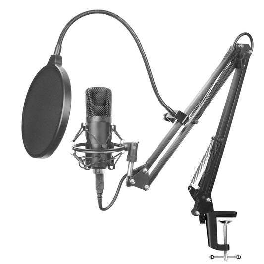 BM-700 Condenser Microphone for Studio Recording