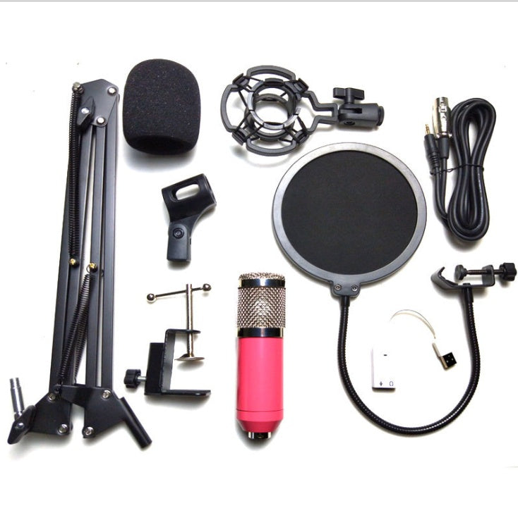Professional Microphone Stand Set