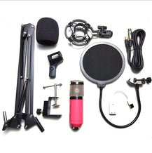 Professional Microphone Stand Set