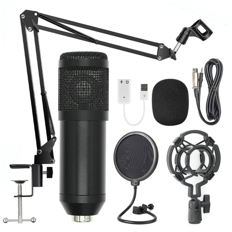 Professional Microphone Stand Set
