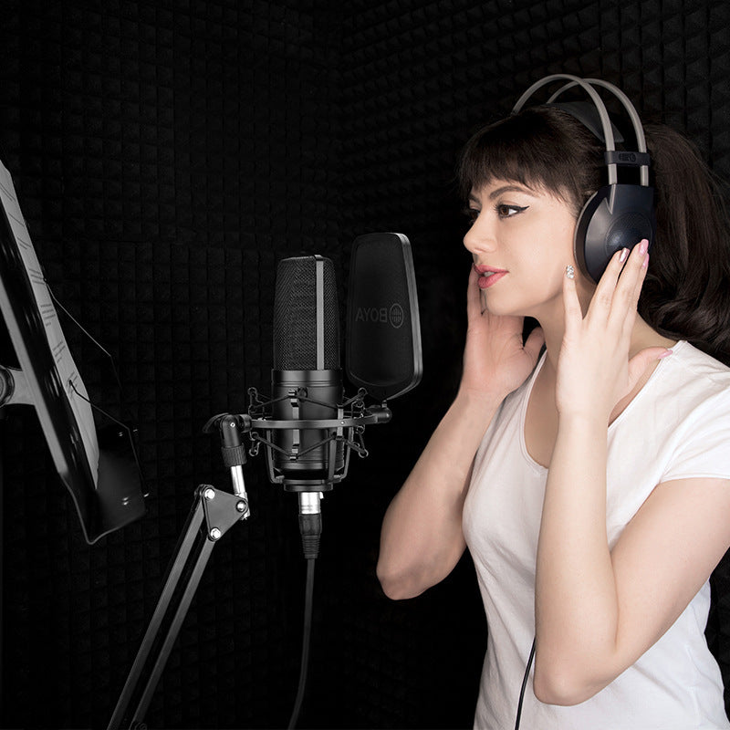 Large Diaphragm Condenser Microphone