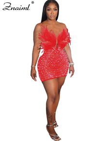 Women’s Diamond Mesh Mini Dress with Feathers