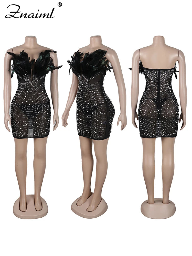 Women’s Diamond Mesh Mini Dress with Feathers