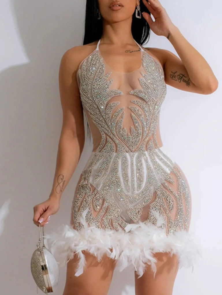 Women’s Stunning Sheer Mesh Sequin Slip Dress