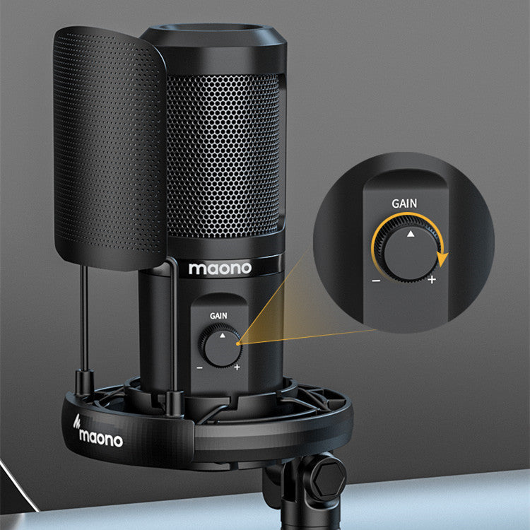 Noise Cancelling Desktop Microphone for Dubbing